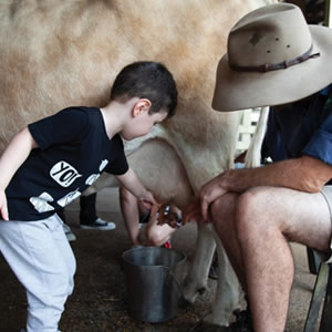 Calmsley Hill City Farm